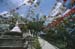 Swayambunath